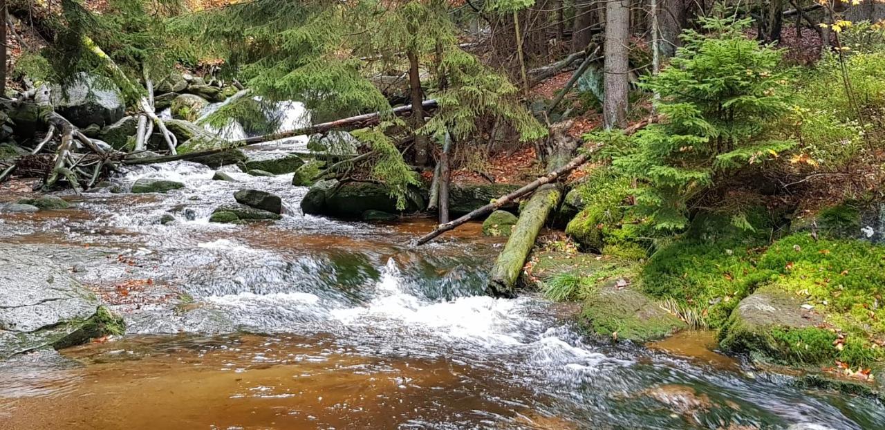 Apartament Gorski Widok Sklářská Poruba Exteriér fotografie