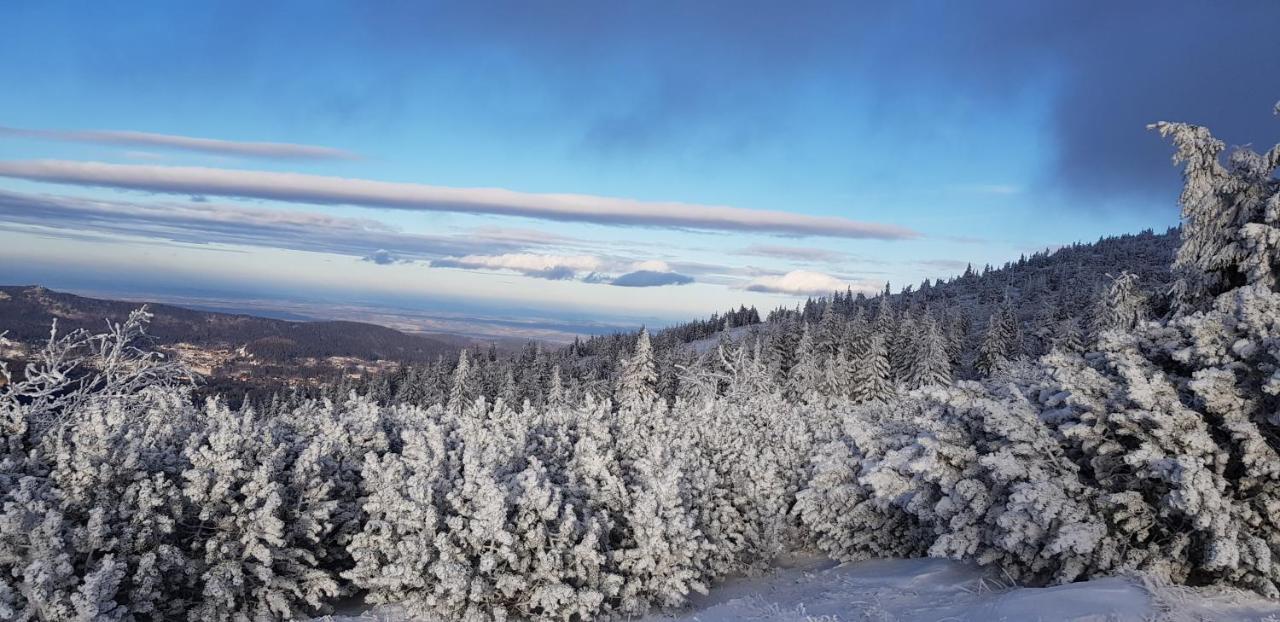 Apartament Gorski Widok Sklářská Poruba Exteriér fotografie