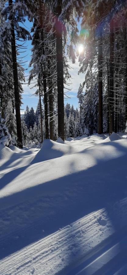 Apartament Gorski Widok Sklářská Poruba Exteriér fotografie