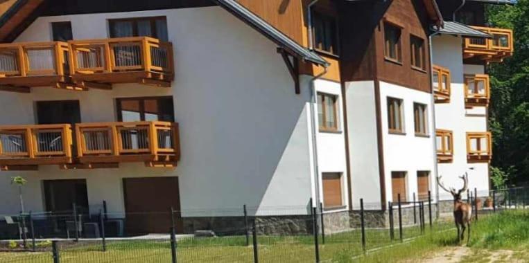 Apartament Gorski Widok Sklářská Poruba Exteriér fotografie